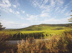 Weingut & Winzerhof Emmerich