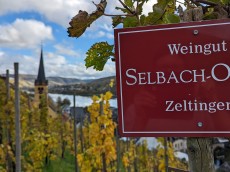 Weingut Selbach-Oster
