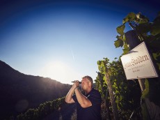 Weingut Jean Stodden