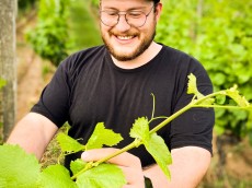 Weingut Johannes Haas