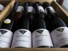 Weingut Bernhard Ellwanger