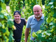 Weingut Ackermann
