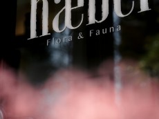 haebel