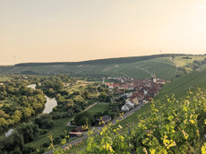 Weingut Egon Schäffer
