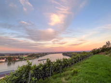 Weingut Eckehart und Johannes Gröhl