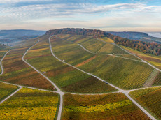 Weingut Christian Hirsch