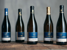 Privat-Weingut Schlumberger-Bernhart