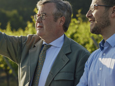 Fürstlich Castell’sche Domäne