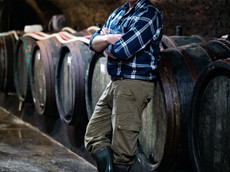 Weingut Ulrich Langguth