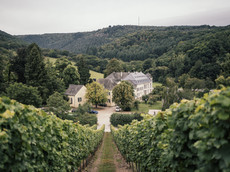 Bischöfliche Weingüter Trier