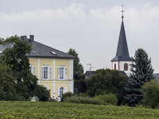 Domdechant Werner’sches Weingut