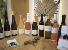 Weingut Graf-Binzel