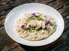 Ai Pero PURS Authentic Italian Trattoria