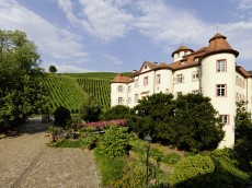 Schloss Neuweier
