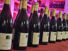 Weingut Stich „Im Löwen“