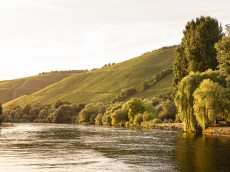 Weingut Schmitts Kinder