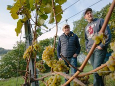 Weingut Jakob Jung