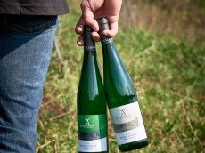 Weingut Ackermann