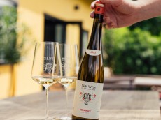 Weingut Nik Weis - St. Urbans-Hof