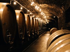Weingut Karthäuserhof