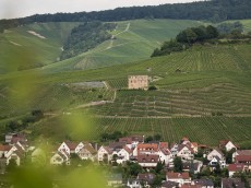 Weingut Karl Haidle
