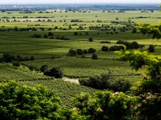Weingut von Winning
