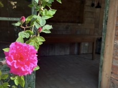 Landcafe Dommer