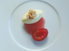 Erasmus Bio Fine-Dining