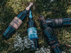 Fattoria Ramerino Soc. Agr. SRL