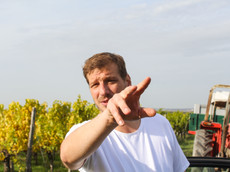 Weingut Paul Weltner