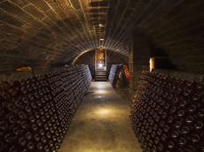 Wein- und Sektgut Wilhelmshof