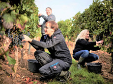 Weingut Münzenberger