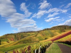 Gasthaus zum Hirschen