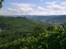 Weingut Bernhard Ellwanger
