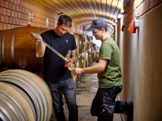Weingut Manz