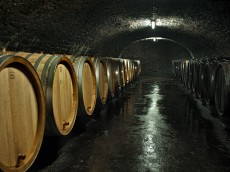 Weingut Forstmeister Geltz - Zilliken