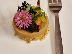 Rebstock la petite Provence