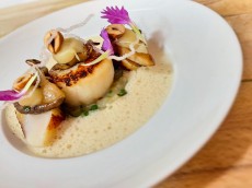 YUNICO-Japanese fine dining