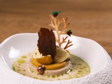 BIO Fine Dining Restaurant 1950