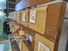 Fattoria Ramerino Soc. Agr. SRL