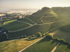 Fürstlich Castell’sche Domäne