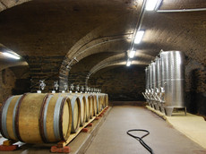 Weingut Immich-Batterieberg