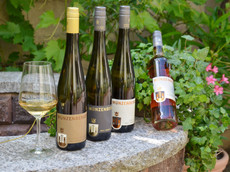 Weingut Münzenberger