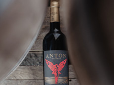 Weingut Matthias Anton