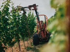Schlossgut Hohenbeilstein