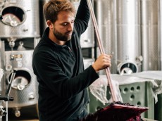 Weingut Arndt F. Werner