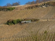 Weingut Willi Schaefer