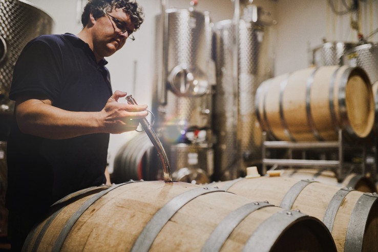 BioWeingut Gänz