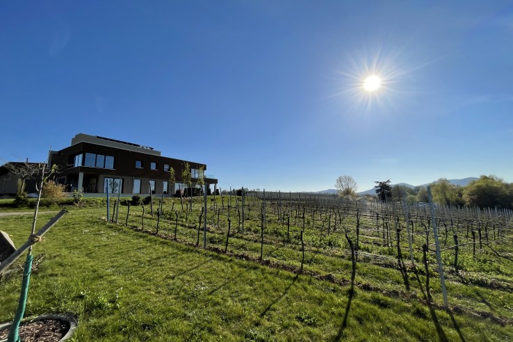 Weingut Dirk Voegeli