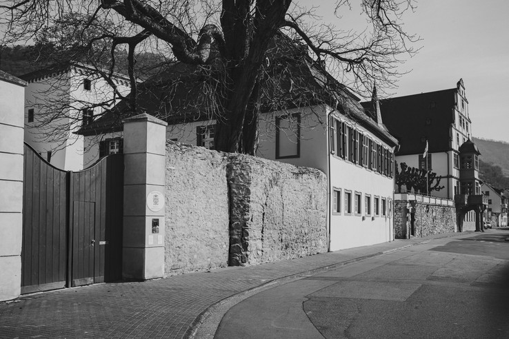 Weingut Graf von Kanitz